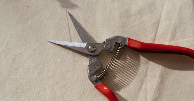 Pruning Tools - Red and Silver Hand Tool