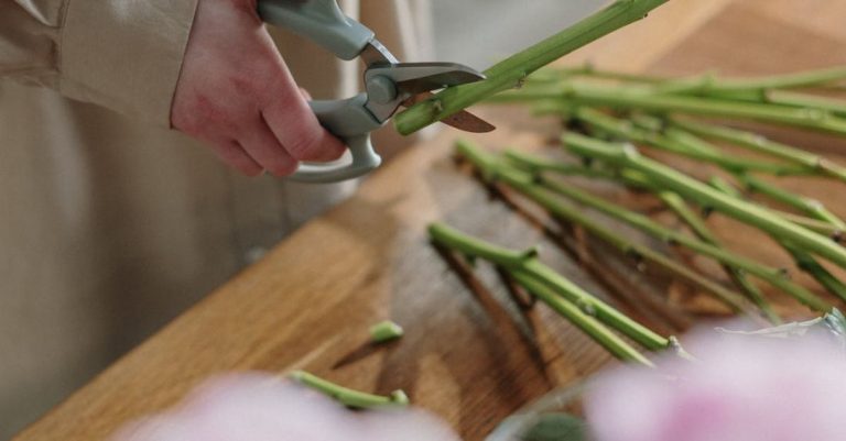 Pruning Times - Person Holding Green and Brown Stick