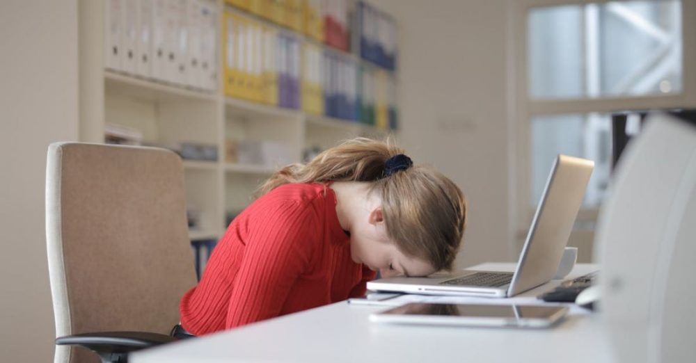 Finished Compost - Woman Sitting on Chair While Leaning on Laptop