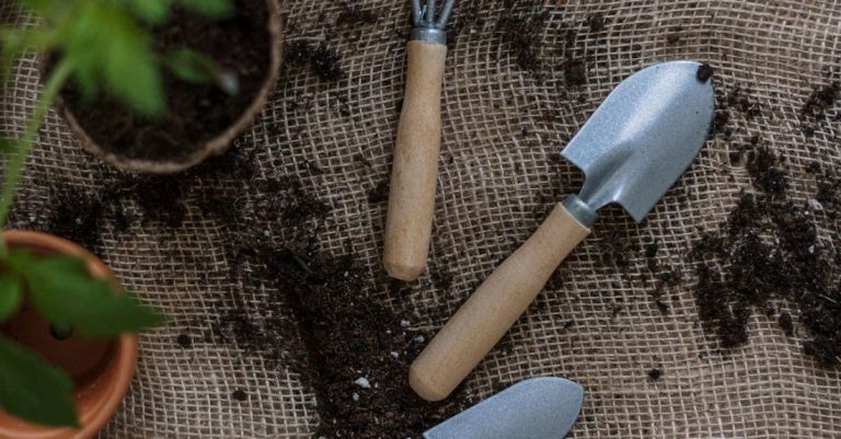 Organic Gardening - Top View Photo of Gardening Tools