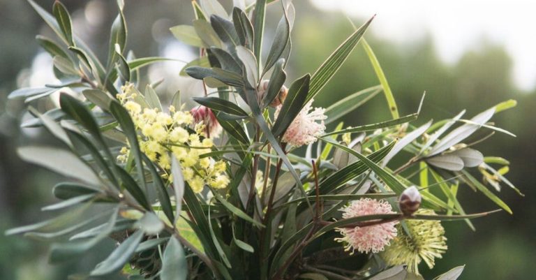 Native Plants - Shallow Focus Photography of Pink and Yellow Flowers
