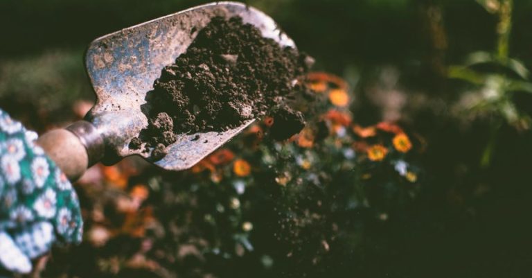Soil - Person Digging on Soil Using Garden Shovel