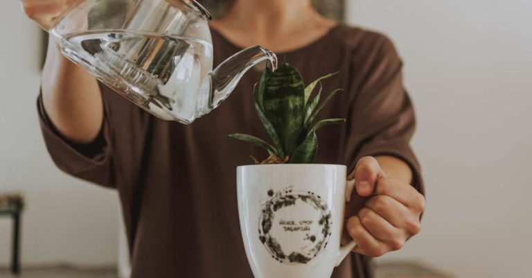 Watering - Woman Watering Plant In Cup