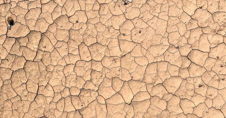 Clay Soil - Dry cracked mud