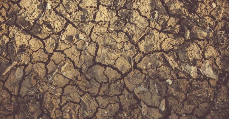 Erosion - Withered Ground