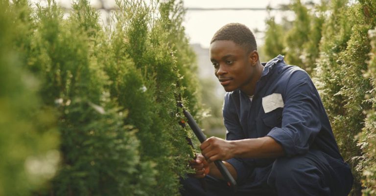 Garden Shears - A Man Trimming Plants in a Garden