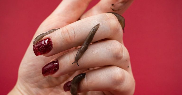 Slugs - Slugs on Womans Palm