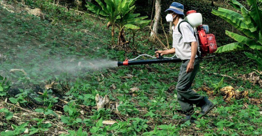 What Are the Best Practices for Using Pesticides