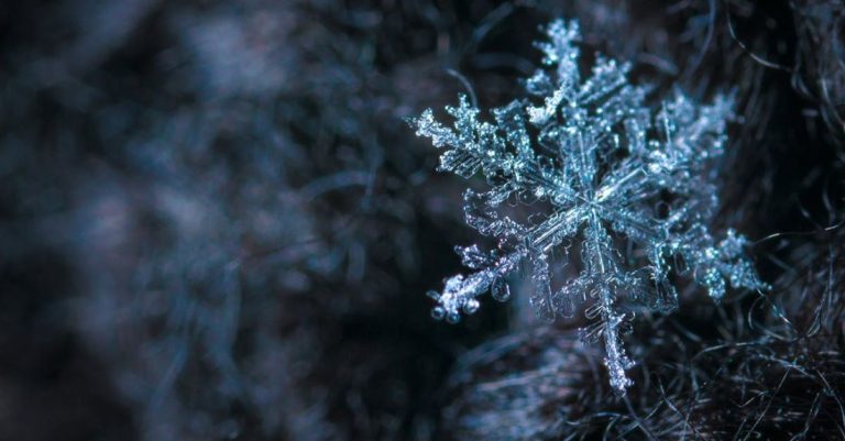 Frost - Close-up Photography of Snowflake
