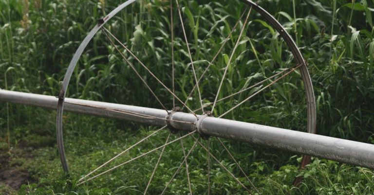 Watering System - A Shot of Watering System on a Corn Field 