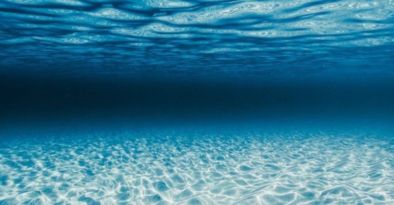 Deep Watering - Underwater Landscape
